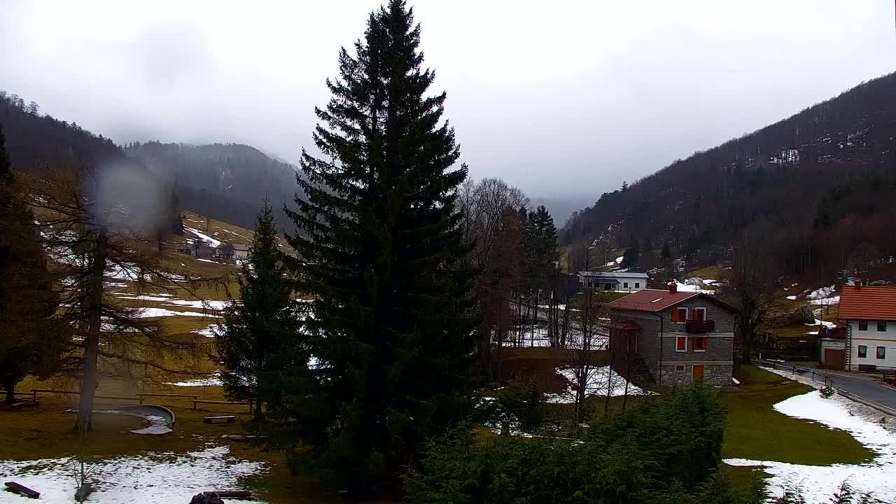 Webcam Loqua / Lokve – La bellezza della selva di Tarnova