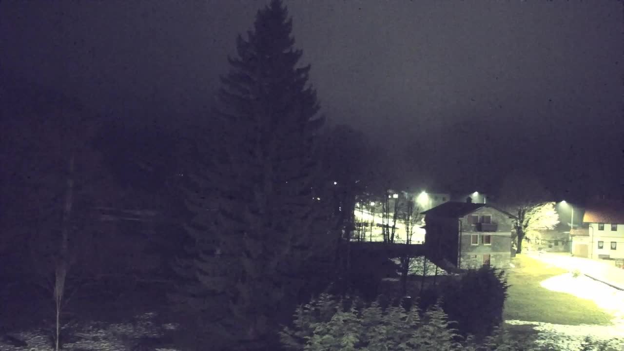 Webcam Loqua / Lokve – La bellezza della selva di Tarnova