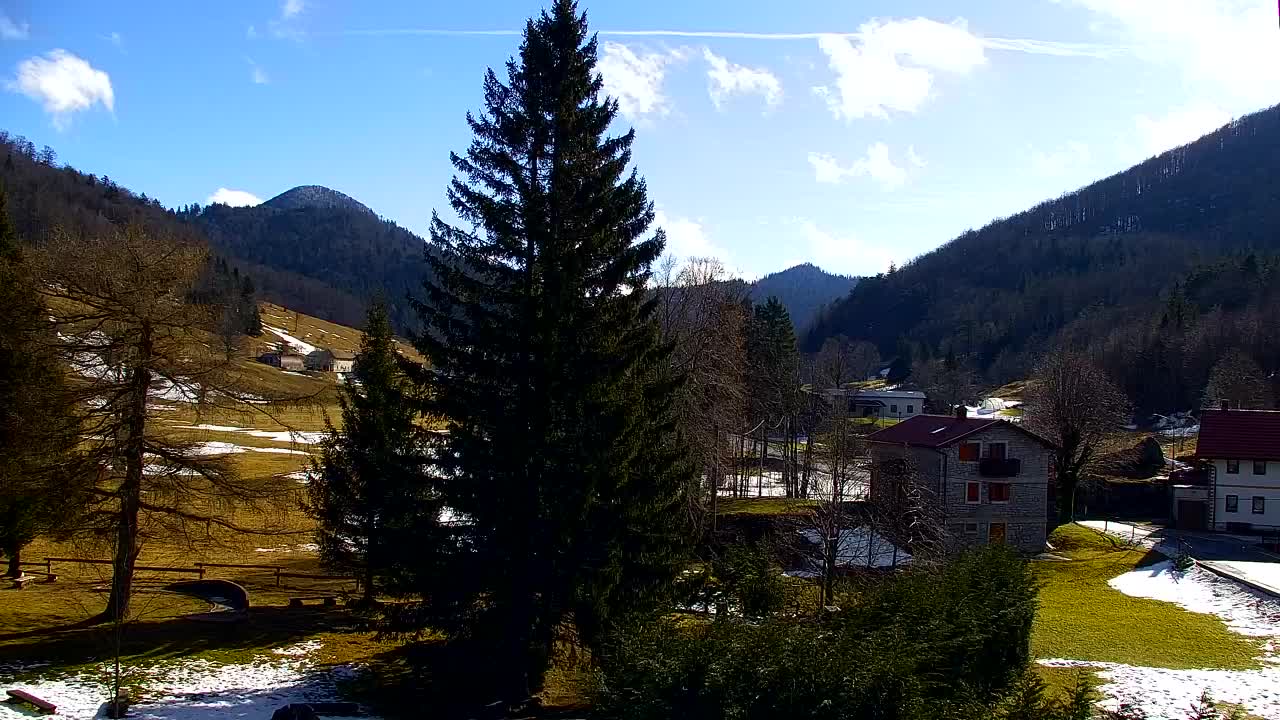 Webcam Loqua / Lokve – La bellezza della selva di Tarnova