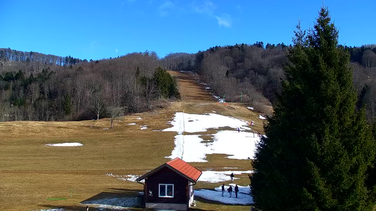 Webcam Loqua / Lokve – La bellezza della selva di Tarnova