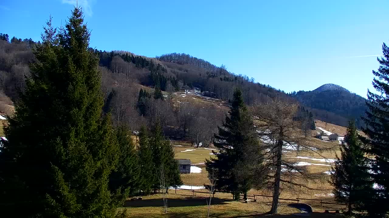 Webcam Lokve – The beauty of the Trnovo forest