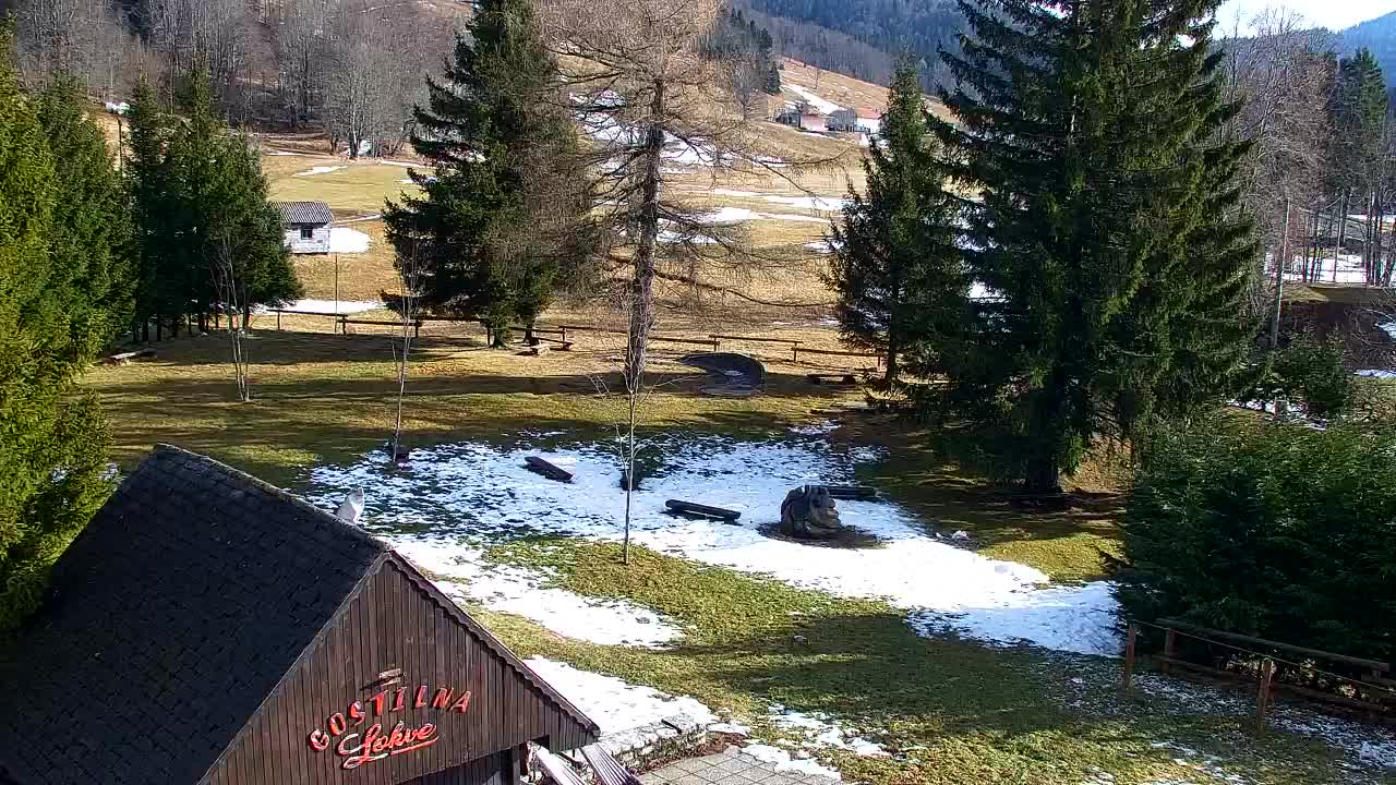 Camera en vivo Lokve – La belleza del bosque de Trnovo