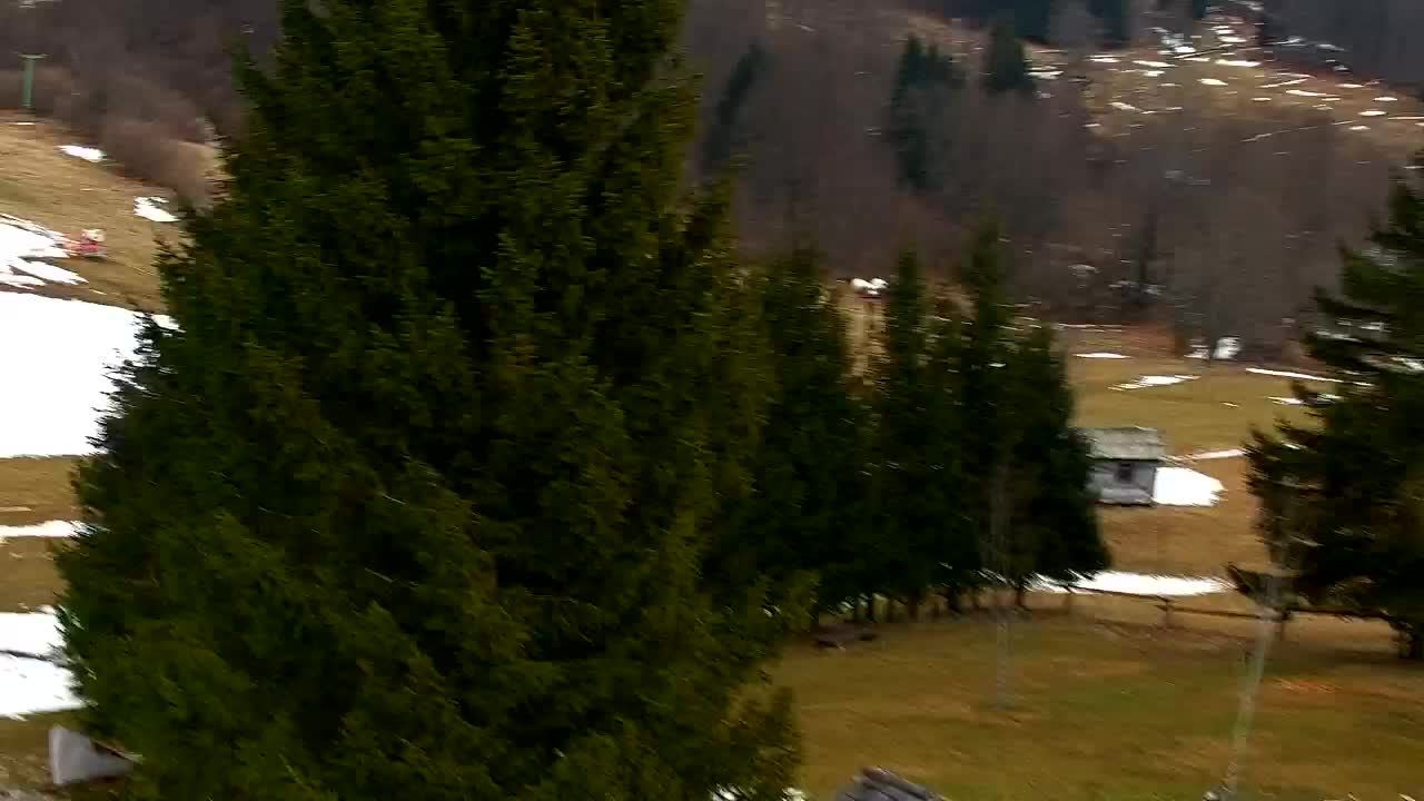 Camera en vivo Lokve – La belleza del bosque de Trnovo