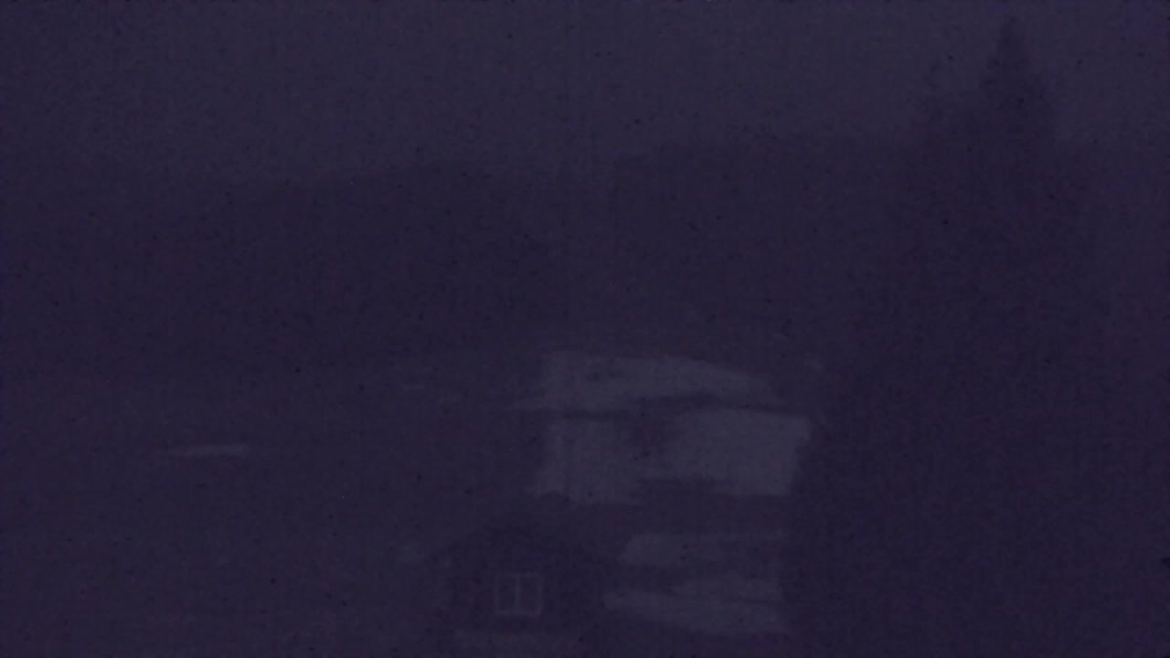 Webcam Lokve – The beauty of the Trnovo forest