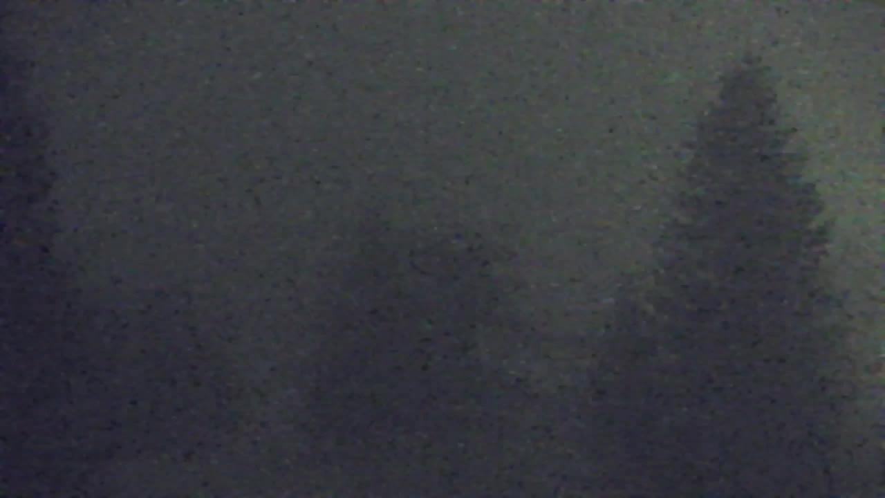 Camera en vivo Lokve – La belleza del bosque de Trnovo