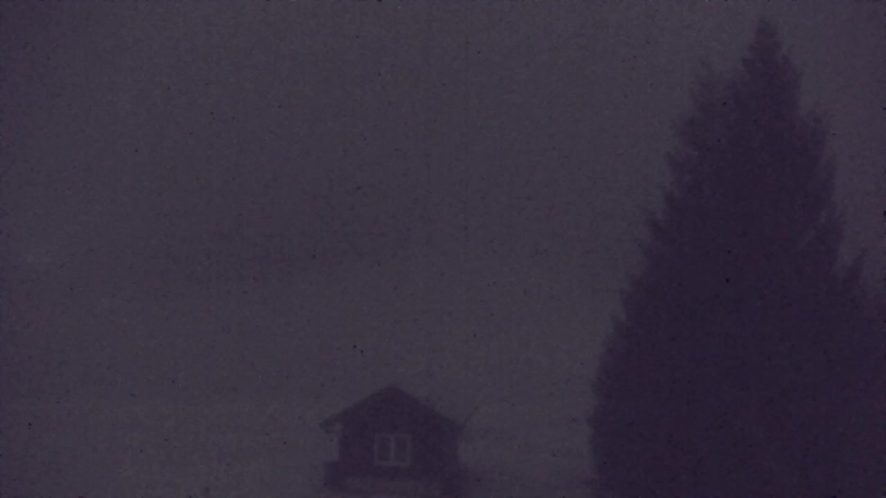 Camera en vivo Lokve – La belleza del bosque de Trnovo