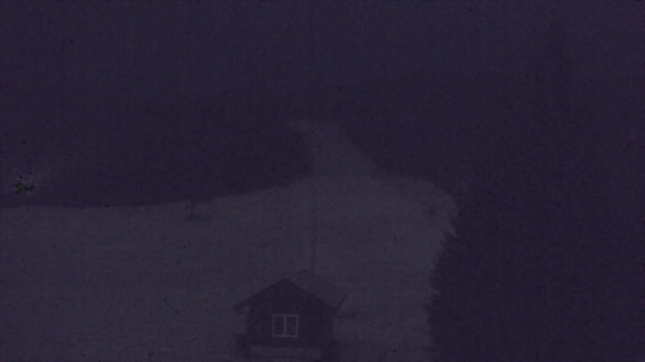 Webcam Lokve – The beauty of the Trnovo forest