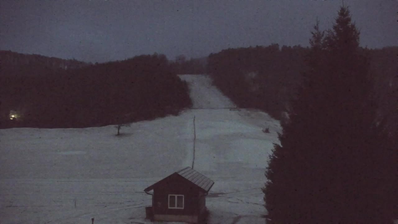 Webcam Lokve – The beauty of the Trnovo forest