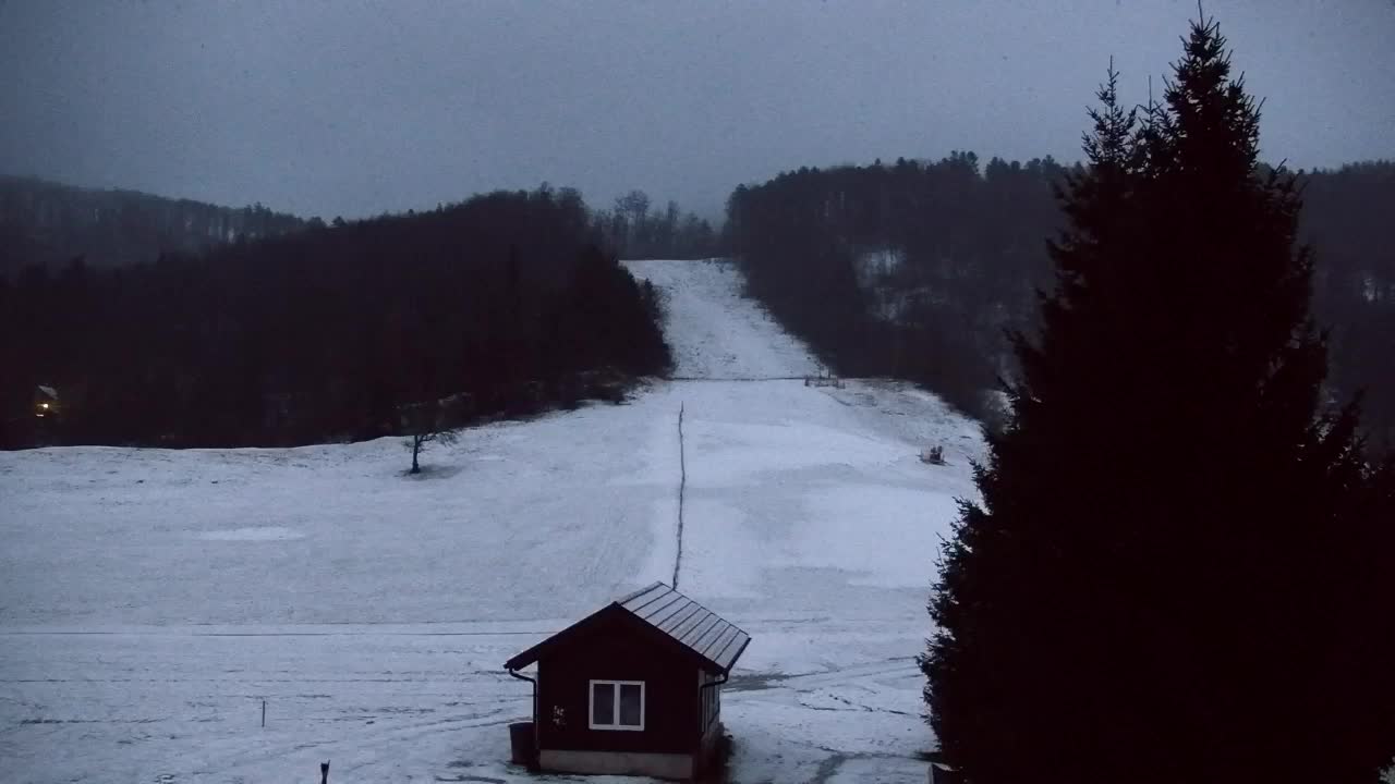 Webcam Loqua / Lokve – La bellezza della selva di Tarnova