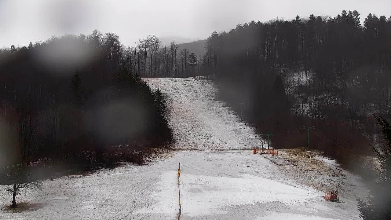 Webcam Lokve – The beauty of the Trnovo forest