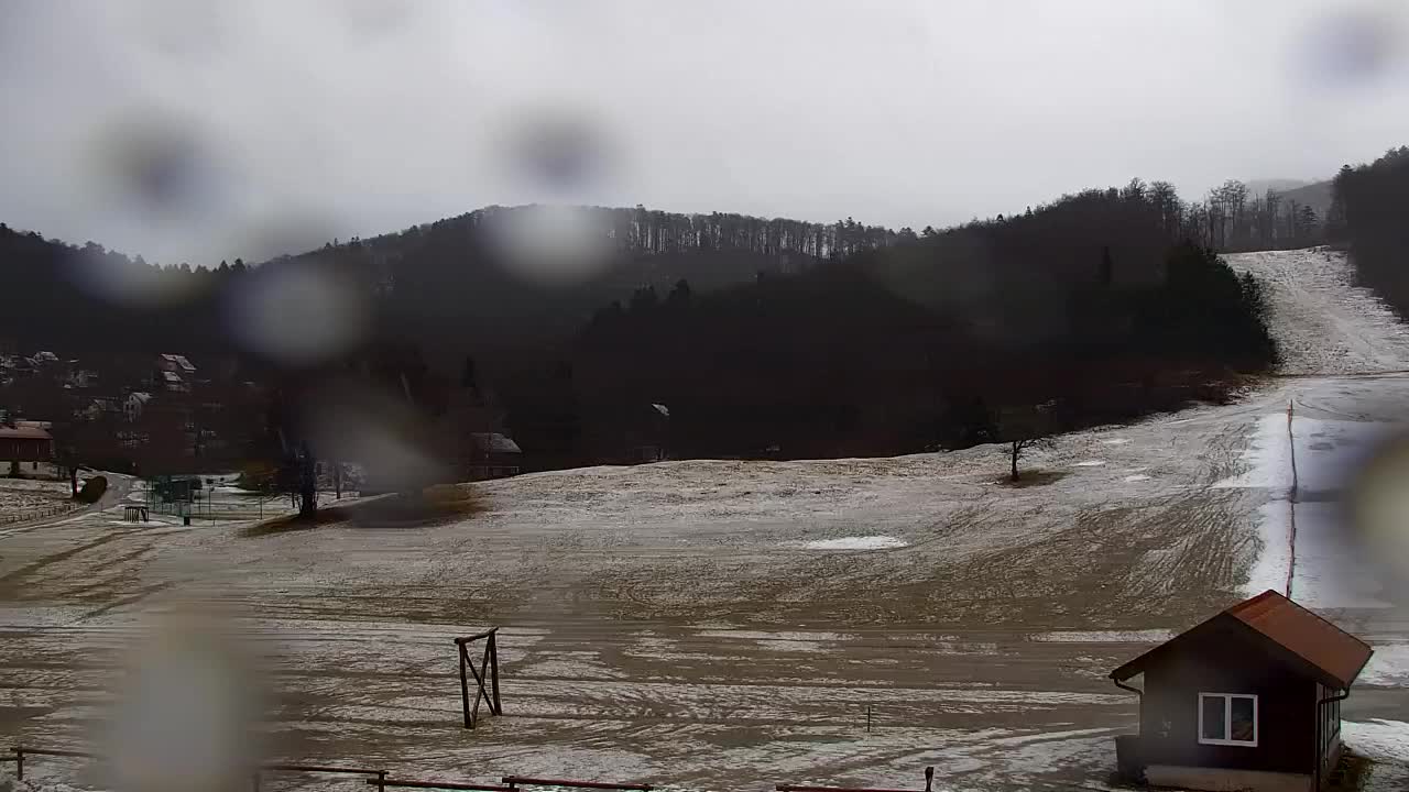 Webcam Lokve – The beauty of the Trnovo forest