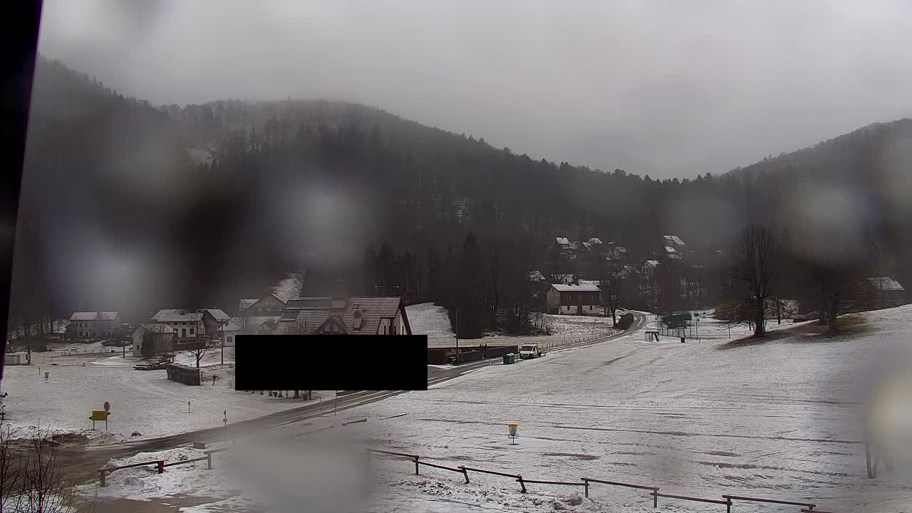 Webcam Loqua / Lokve – La bellezza della selva di Tarnova