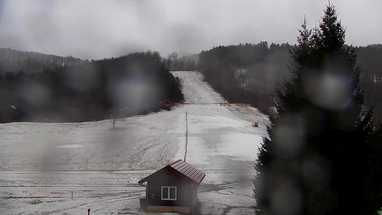 Webcam Loqua / Lokve – La bellezza della selva di Tarnova