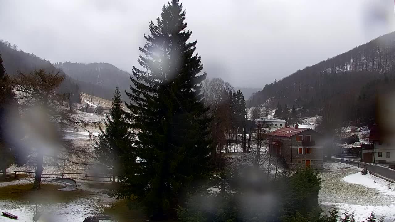 Webcam Lokve – The beauty of the Trnovo forest