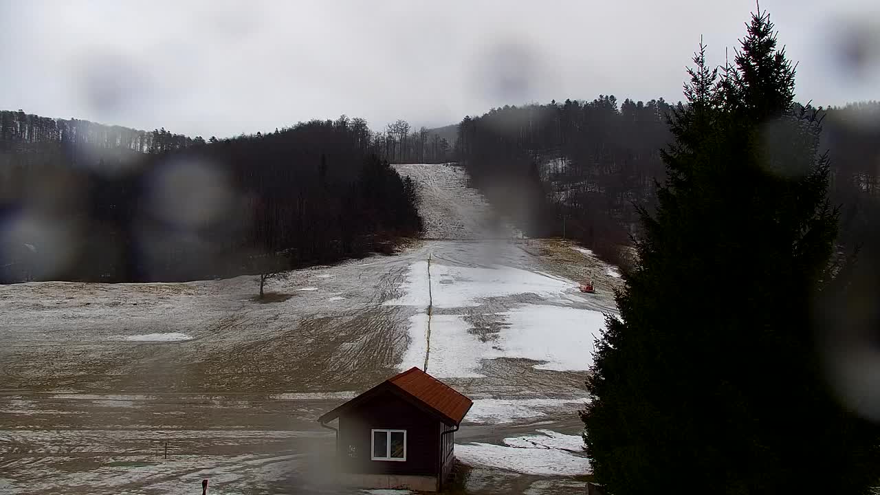 Webcam Lokve – The beauty of the Trnovo forest