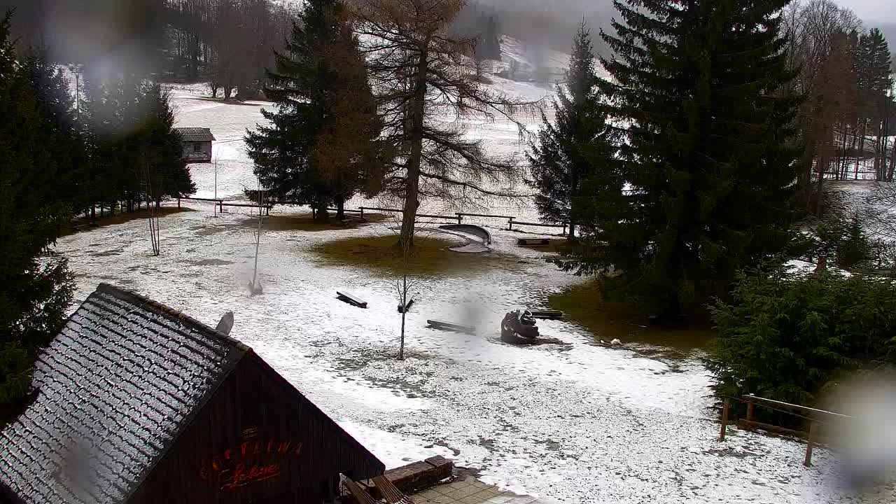 Webcam Lokve – The beauty of the Trnovo forest