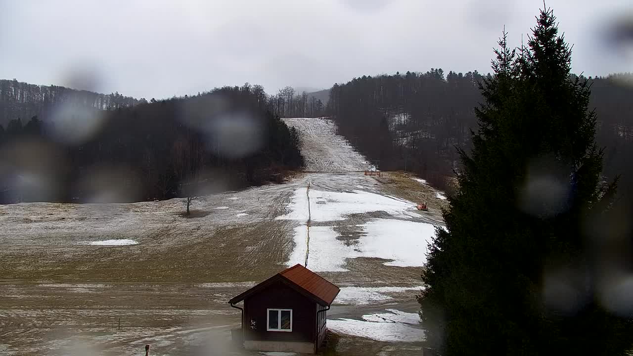 Webcam Lokve – La beauté de la forêt de Trnovo