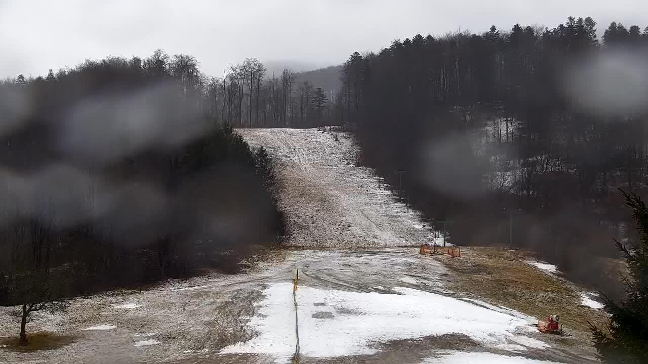 Webcam Lokve – The beauty of the Trnovo forest