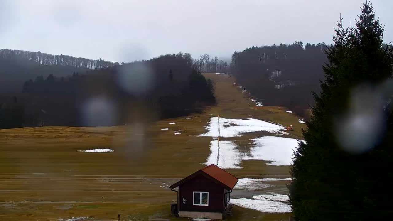 Webcam Lokve – The beauty of the Trnovo forest