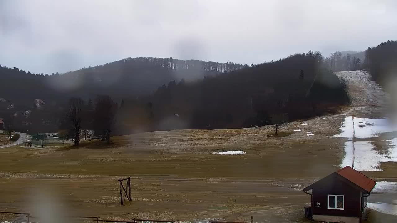 Webcam Loqua / Lokve – La bellezza della selva di Tarnova