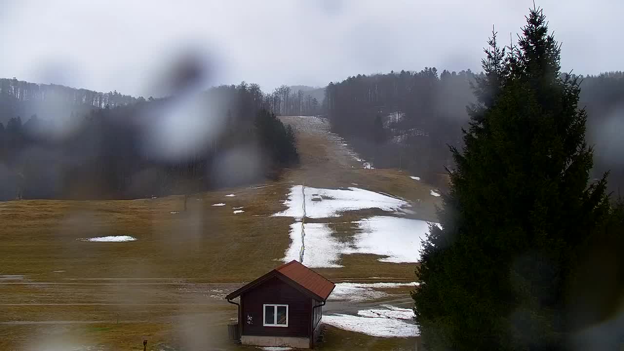 Webcam Lokve – The beauty of the Trnovo forest