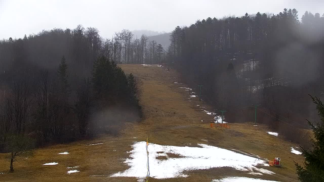 Webcam Lokve – The beauty of the Trnovo forest