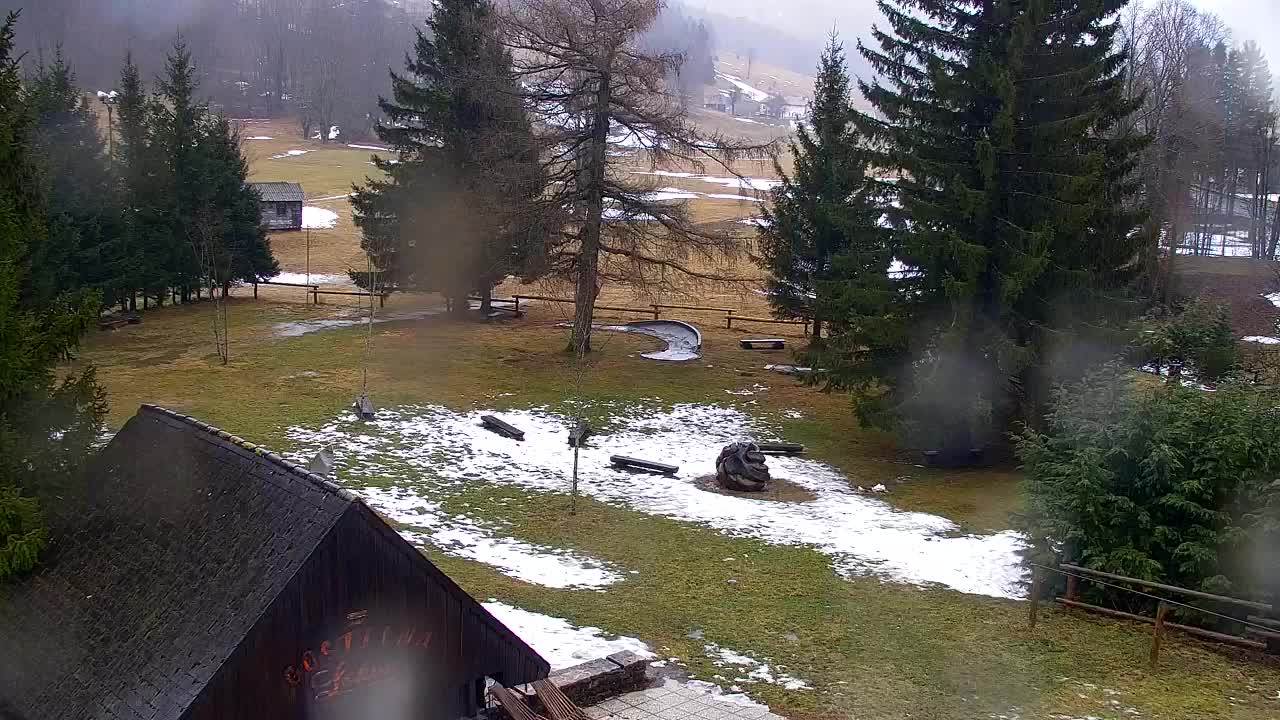 Web kamera Lokve – Ljepota Trnovske šume