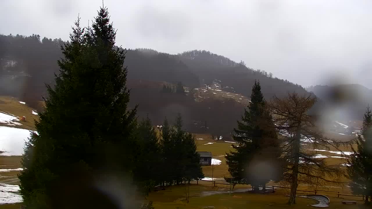 Webcam Lokve – The beauty of the Trnovo forest