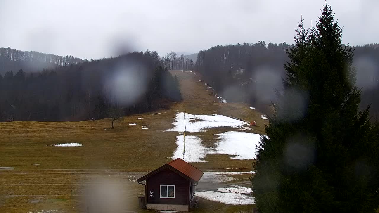 Webcam Lokve – La beauté de la forêt de Trnovo