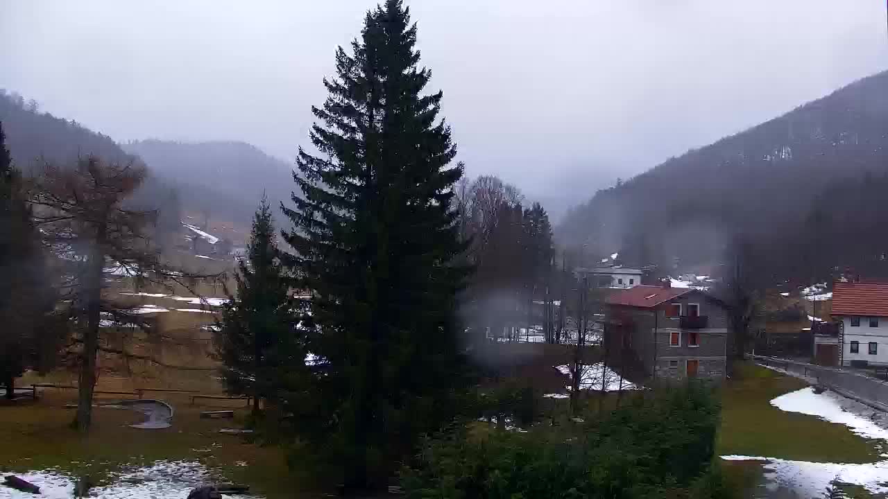 Webcam Loqua / Lokve – La bellezza della selva di Tarnova