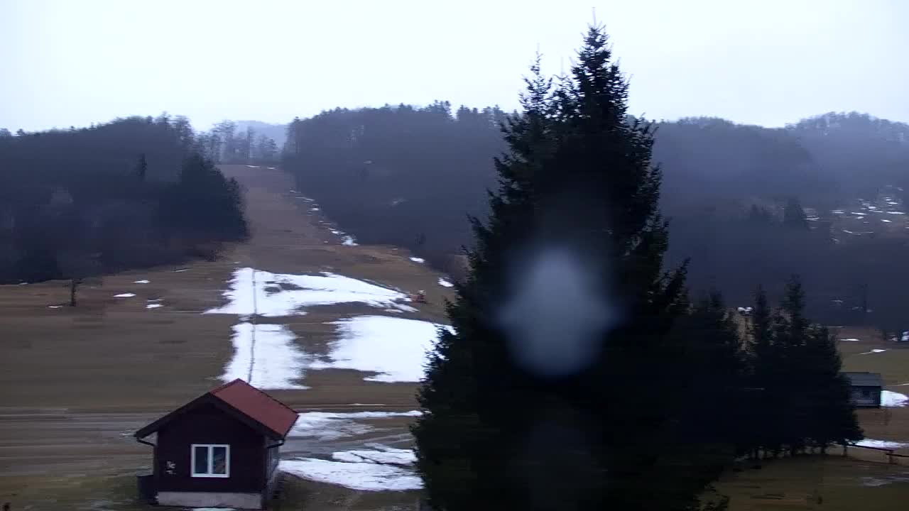 Camera en vivo Lokve – La belleza del bosque de Trnovo