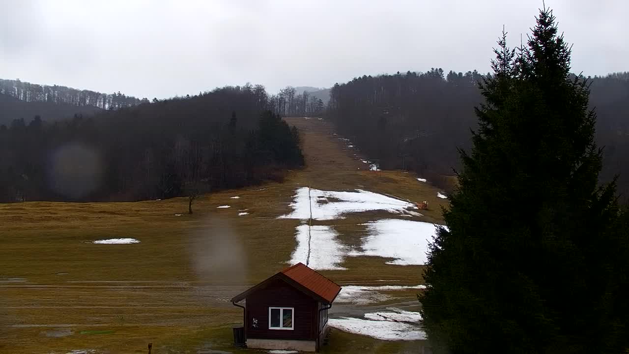 Lokve kamera – Naravne lepote Trnovskega gozda