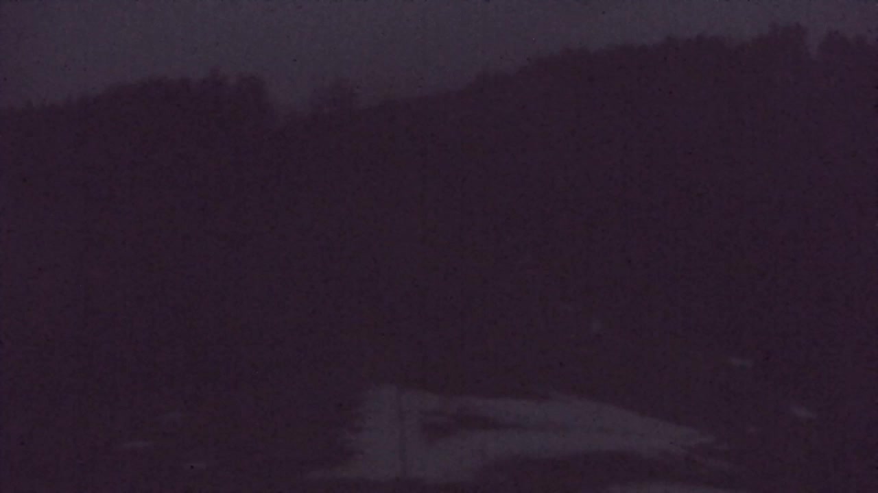 Webcam Lokve – The beauty of the Trnovo forest