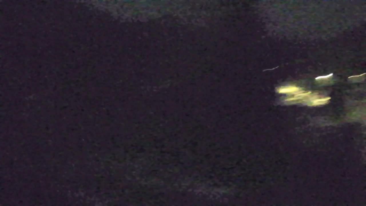 Webcam Lokve – Die Schönheit des Trnovo-Waldes