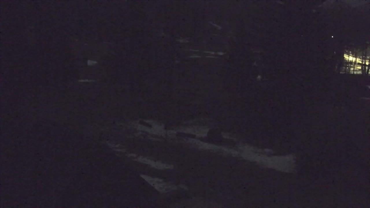 Webcam Lokve – The beauty of the Trnovo forest