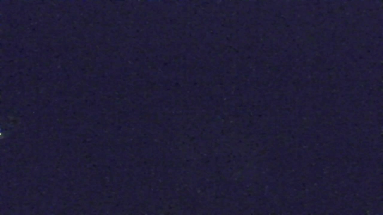 Webcam Loqua / Lokve – La bellezza della selva di Tarnova