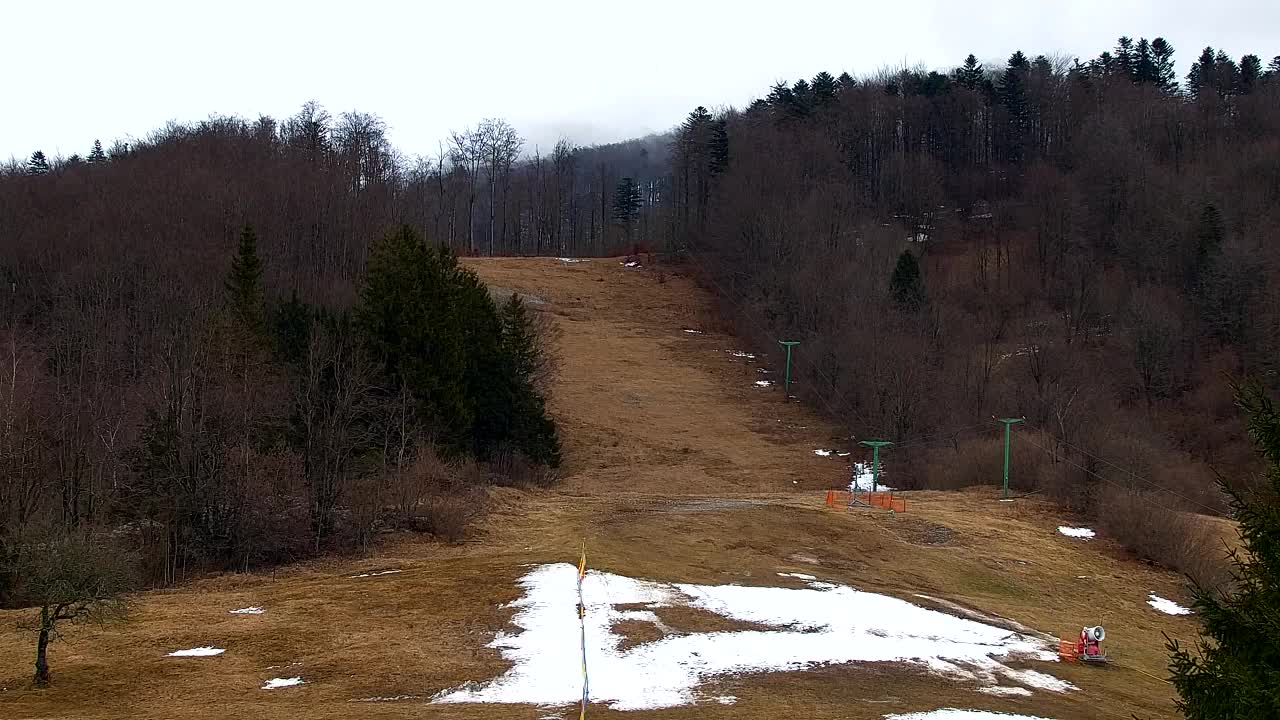 Camera en vivo Lokve – La belleza del bosque de Trnovo