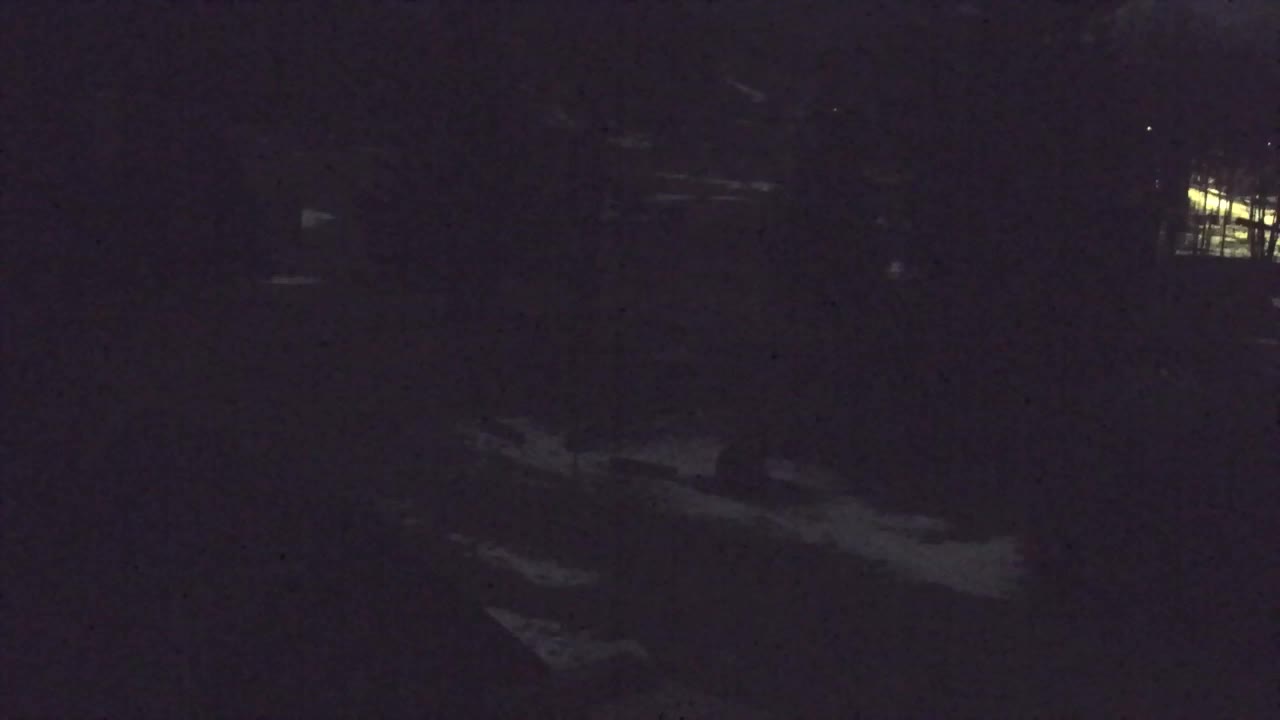 Webcam Lokve – The beauty of the Trnovo forest