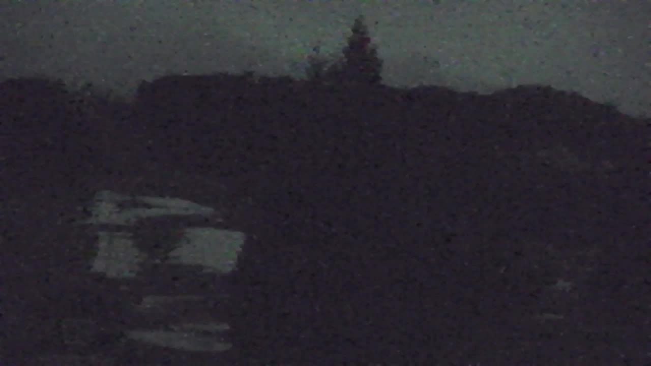 Camera en vivo Lokve – La belleza del bosque de Trnovo