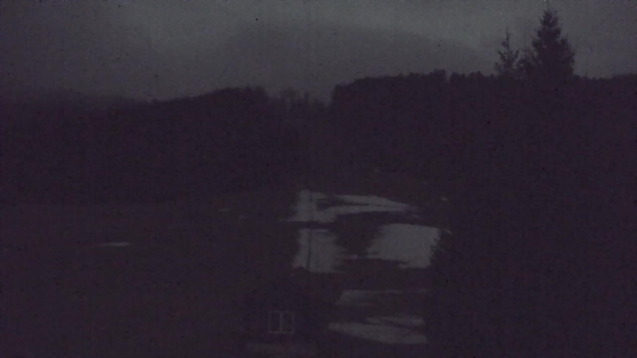 Webcam Lokve – The beauty of the Trnovo forest