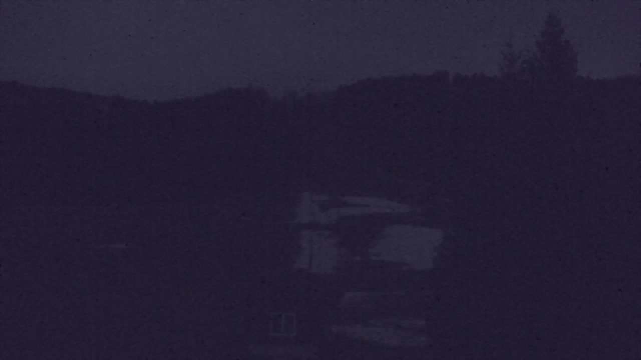 Webcam Loqua / Lokve – La bellezza della selva di Tarnova