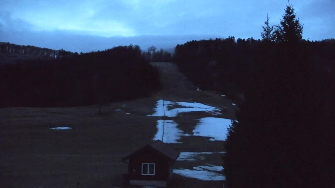 Webcam Loqua / Lokve – La bellezza della selva di Tarnova