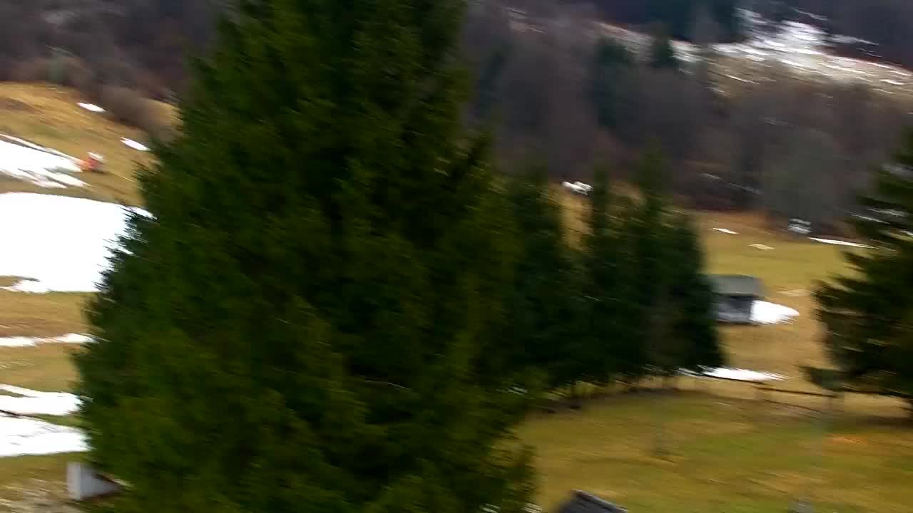 Webcam Lokve – The beauty of the Trnovo forest