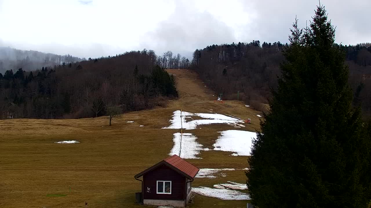 Webcam Lokve – Die Schönheit des Trnovo-Waldes