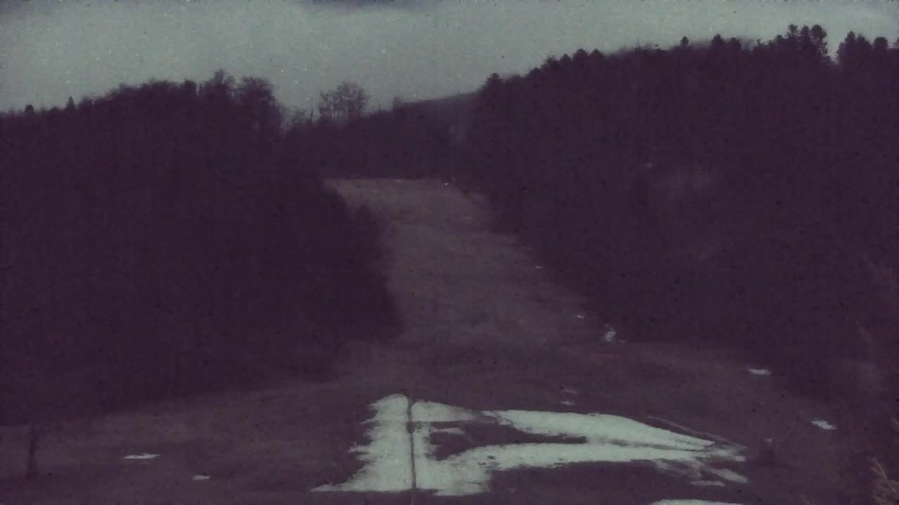 Webcam Lokve – Die Schönheit des Trnovo-Waldes