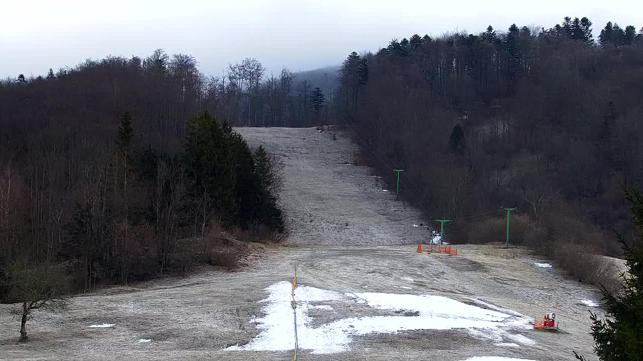 Lokve kamera – Naravne lepote Trnovskega gozda