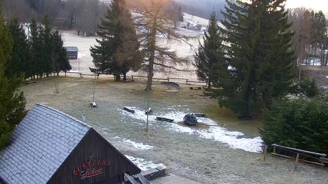 Webcam Lokve – The beauty of the Trnovo forest