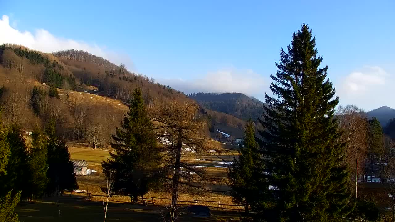 Webcam Lokve – La beauté de la forêt de Trnovo