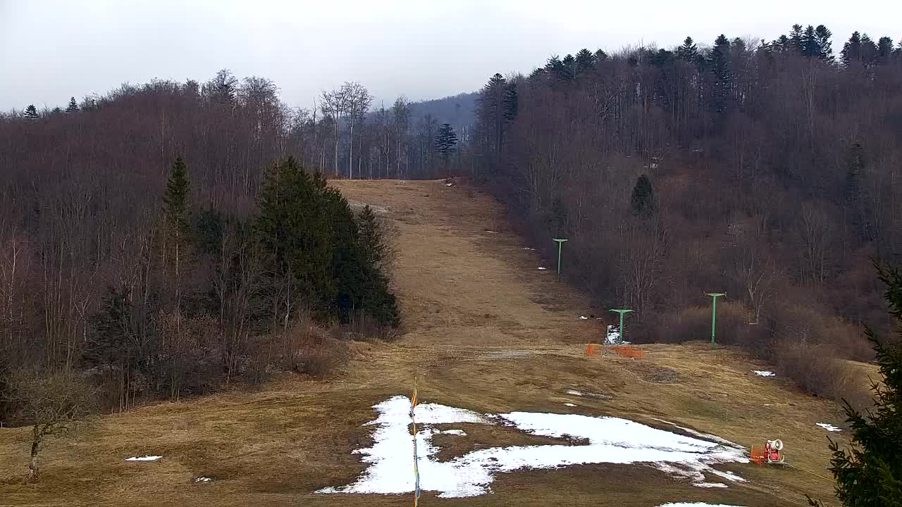 Webcam Loqua / Lokve – La bellezza della selva di Tarnova