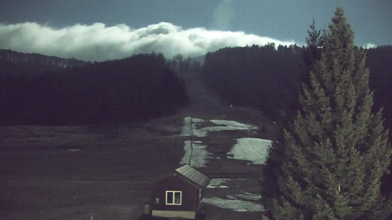 Webcam Lokve – Die Schönheit des Trnovo-Waldes